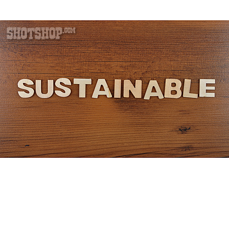 
                Sustainable                   