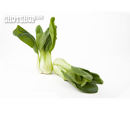 
                Pak Choi, Chinesischer Senfkohl                   