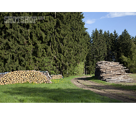 
                Forstwirtschaft, Nadelwald, Holzlager                   