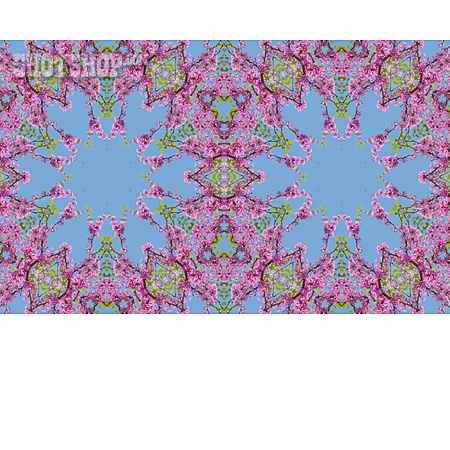 
                Baumblüte, Kaleidoskop, Fraktal                   