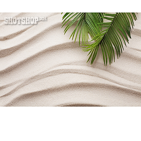 
                Sand, Palmblatt                   