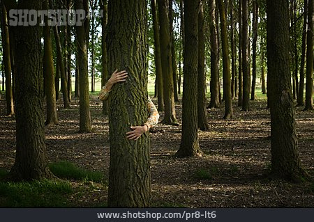 
                Embracing, Tree Trunk                   