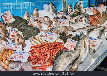 
                Fischmarkt, Meerestiere                   
