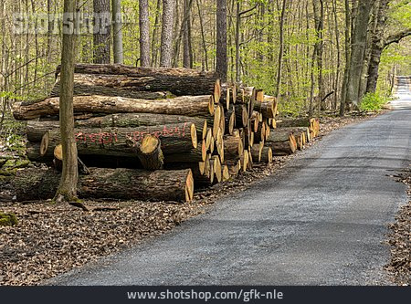 
                Forstwirtschaft, Holzwirtschaft, Nutzholz                   