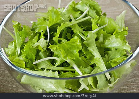 
                Salatschüssel, Kopfsalat, Blattsalat                   