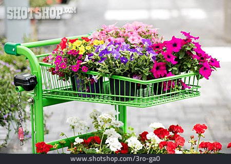 
                Blumentopf, Einkaufswagen, Gartencenter                   