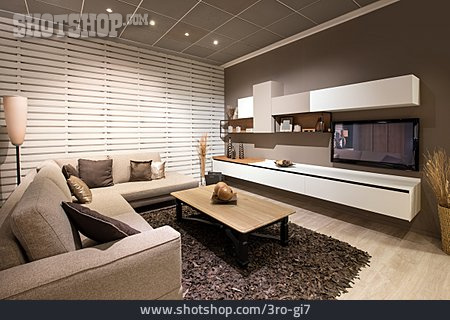 
                Modern, Sofa, Fernseher, Wohnzimmer                   