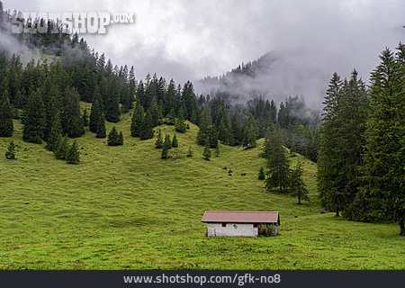 
                Nebel, Berghütte, Allgäuer Alpen                   