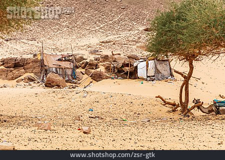 
                Wüste, Hütte, Beduine                   