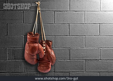 
                Boxing Gloves                   