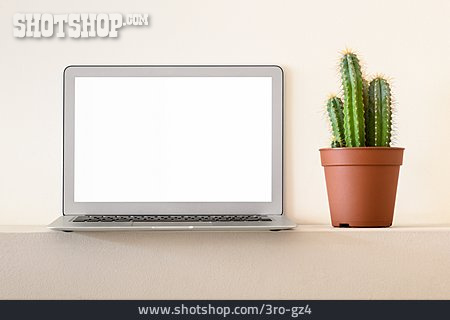 
                Laptop, Kaktus                   