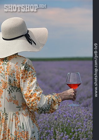 
                Nature, Summer, Red Wine, Excursion                   