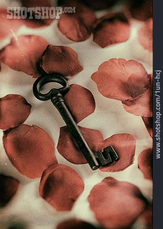 
                Rosenblätter, Romantisch, Geheimnis, Schlüssel                   