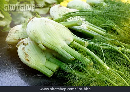 
                Fenchel                   