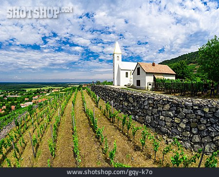 
                Landwirtschaft, Weinbaugebiet, Komitat Veszprém                   