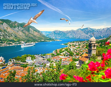 
                Adriaküste, Kotor, Bucht Von Kotor                   