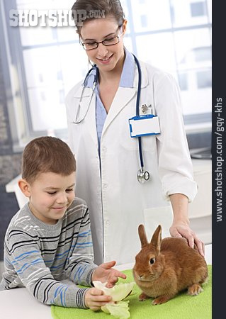 
                Child, Feeding, Rabbit, Veterinarian                   