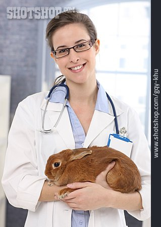 
                Kaninchen, Tierärztin, Tierarztpraxis                   