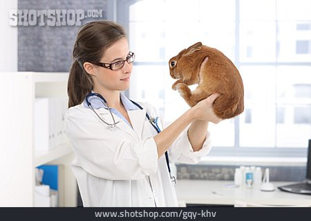 
                Behandlung, Untersuchen, Kaninchen, Tierärztin                   