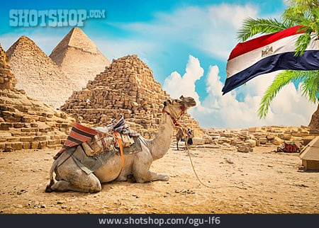 
                Flagge, ägypten, Pyramide, Kamel                   