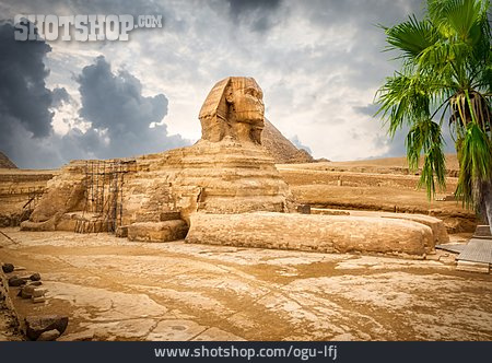 
                Sphinx, Große Sphinx Von Gizeh                   