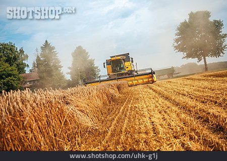 
                Landwirtschaft, Mähdrescher, Getreideernte                   