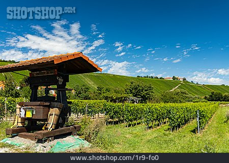 
                Landwirtschaft, Weinberg, Weinbaugebiet                   