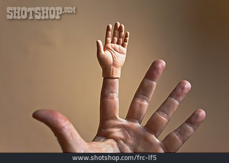 
                Hand, Puppenhand                   