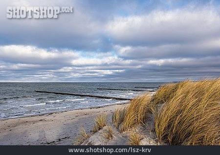 
                Strand, Küste, Ostsee                   