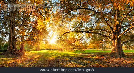 
                Park, Sonnenstrahlen, Herbststimmung                   