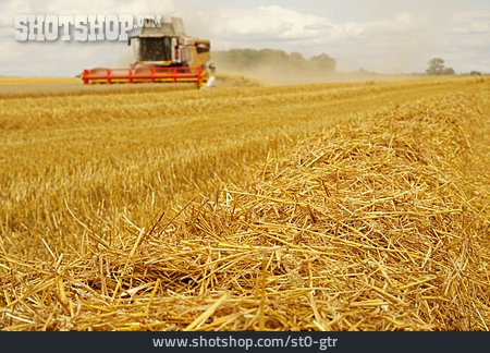 
                Stroh, Getreideernte, Weizenfeld                   