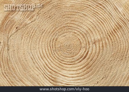
                Baumstamm, Holzstruktur, Jahresring                   