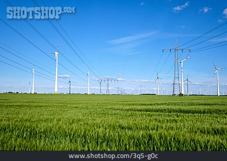 
                Elektrizität, Stromversorgung, Regenerative Energie                   