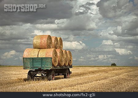 
                Agriculture, Straw Bales, Straw Harvesting                   