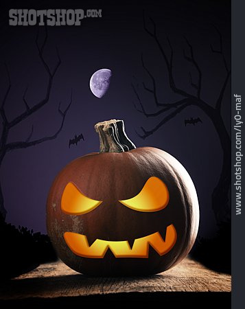 
                Halloween, Kürbislaterne, Jack O’lantern                   