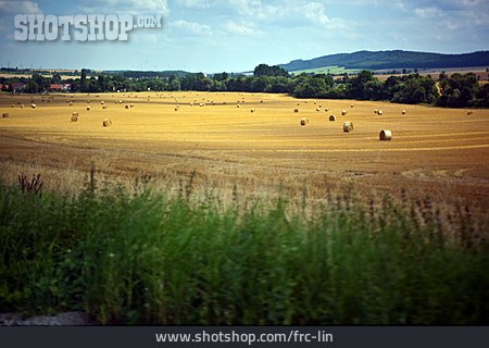 
                Landwirtschaft, Strohballen, Getreidefeld                   