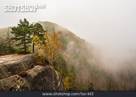 
                Herbst, Nebel, Elbsandsteingebirge                   
