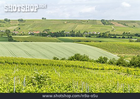
                Weinbau, Rheinland-pfalz, Ackerland, Lörzweiler                   
