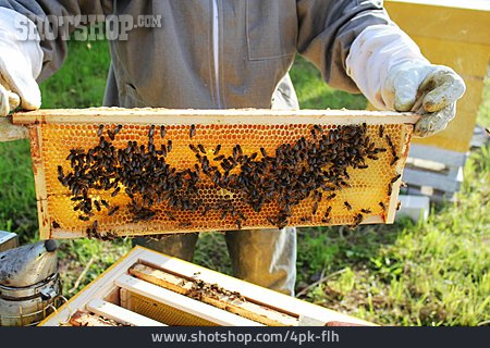 
                Bienenstock, Imker, Honigbienen                   