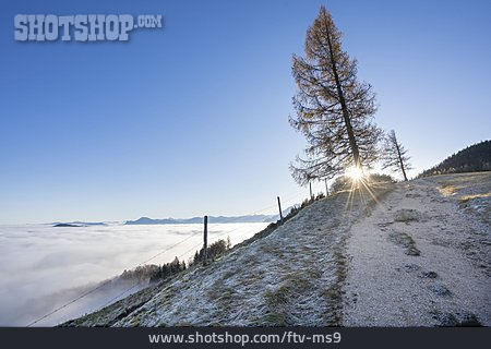 
                Winter, Wolkenmeer, Oberbayern                   