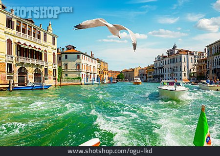 
                Venedig, Canal Grande, Wassertaxi                   