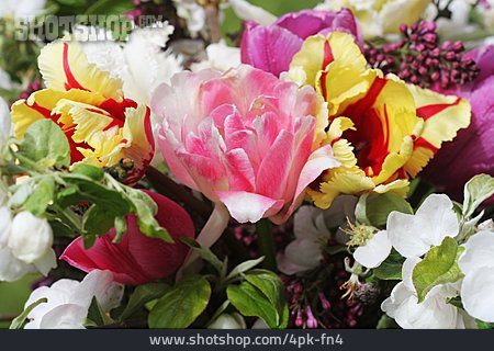 
                Blumenstrauß, Tulpen                   