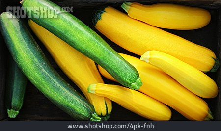 
                Zucchini                   