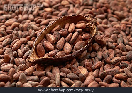 
                Kakao, Kakaohaltig, Kakaobohne                   