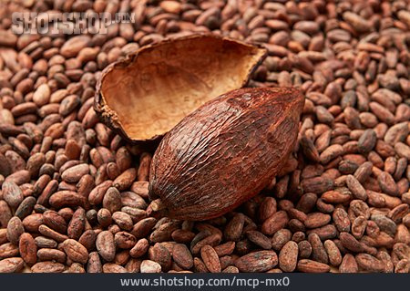 
                Kakaobohne                   