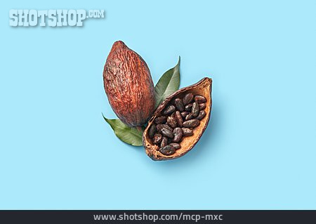 
                Samen, Geöffnet, Kakaobohne                   