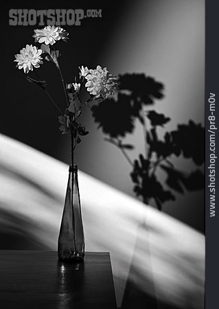 
                Blume, Vase, Stillleben                   