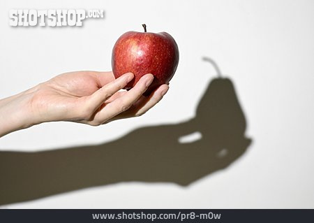 
                Apfel, Schatten, Birne                   