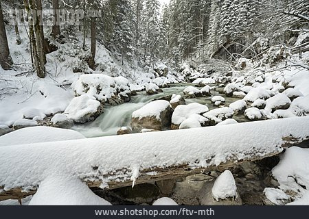 
                Bach, Wildwasser, Berchtesgadener Land, Winterwald                   