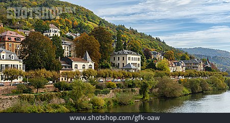 
                Heidelberg, Villa, Neckar                   
